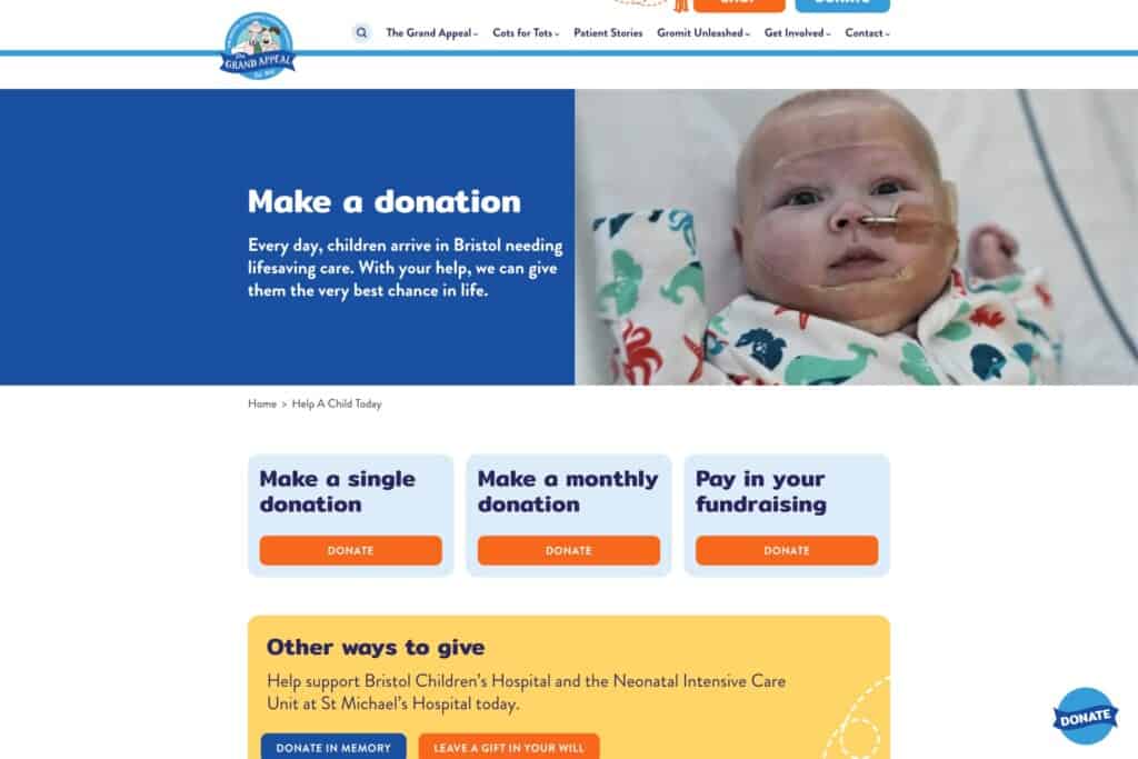 Screenshot from WordPress donation page for case study on our award-winning collaboration with an inspirational charity The Grand Appeal