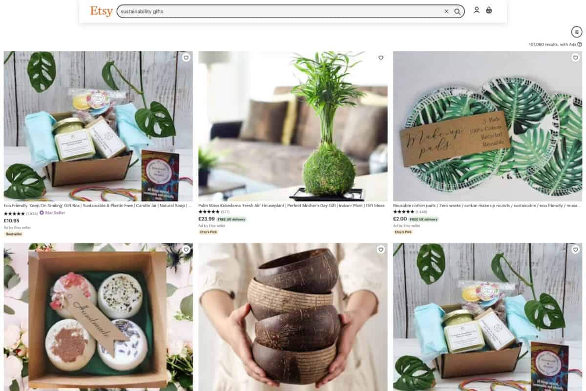 Screenshot of sustainable products available on Etsy marketplace