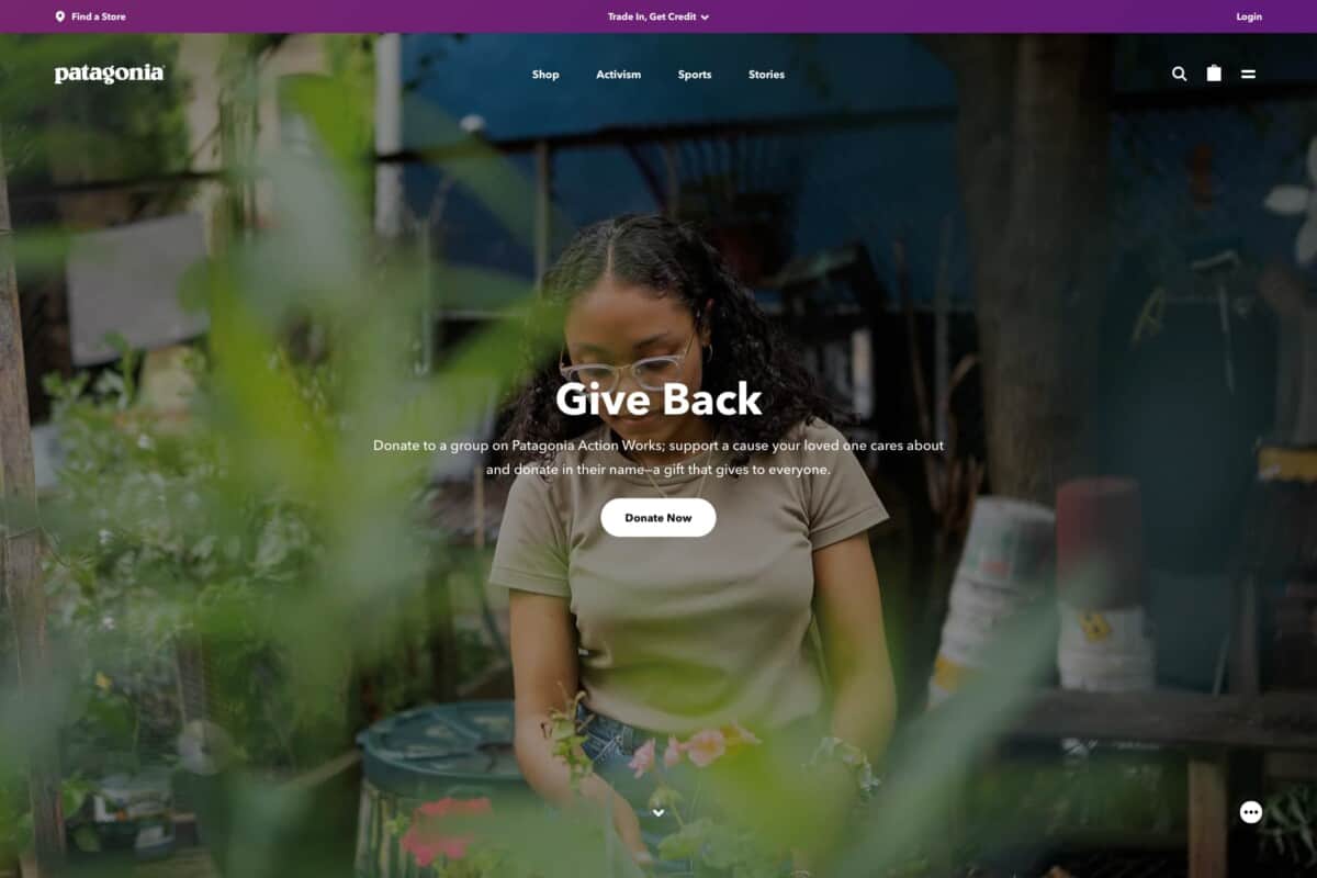 Screenshot of Patagonia eCommerce site activism