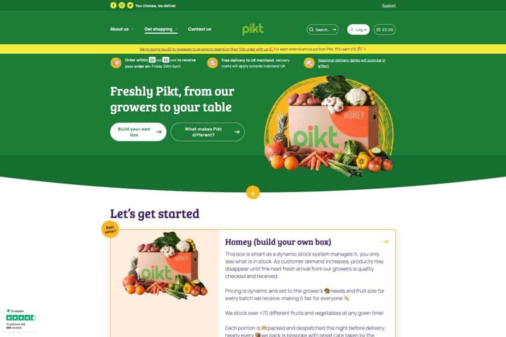 Screenshot from Pikt showing WooCommerce homepage