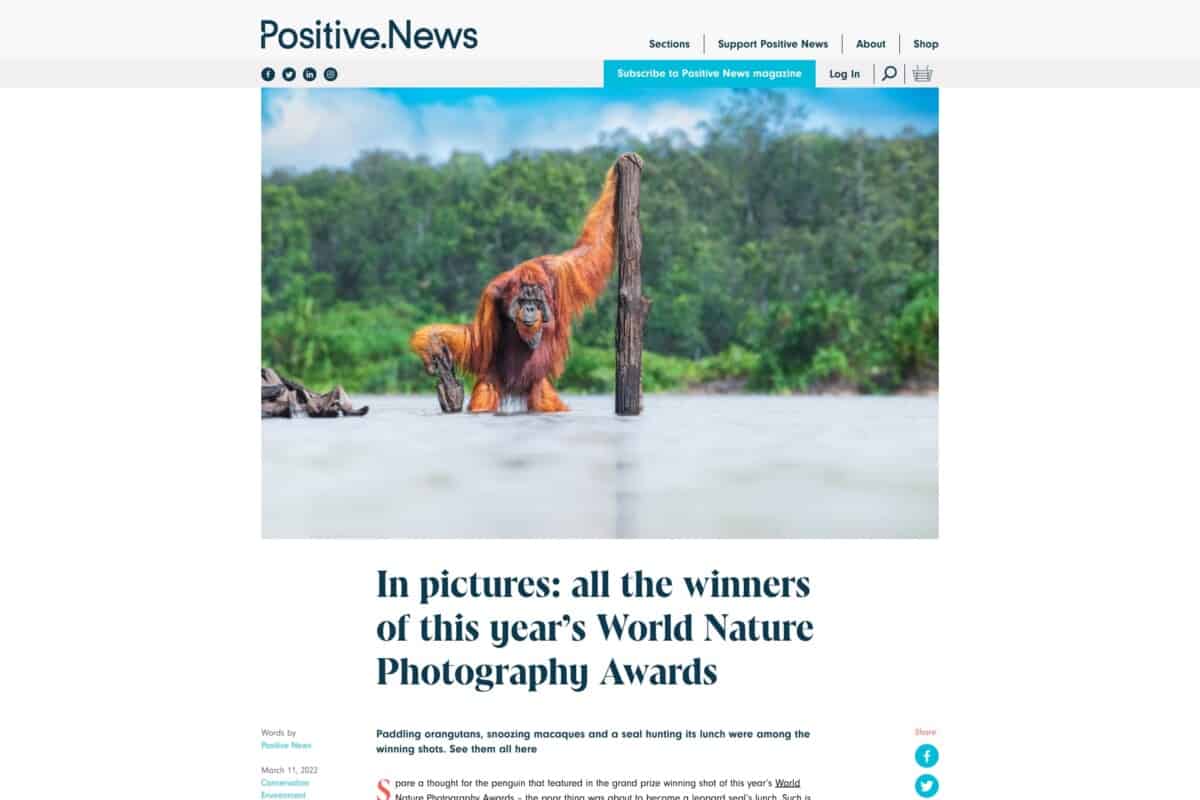 Screenshot of the Positive News WordPress and WooCommerce site showing an article about the World Nature Photography Awards