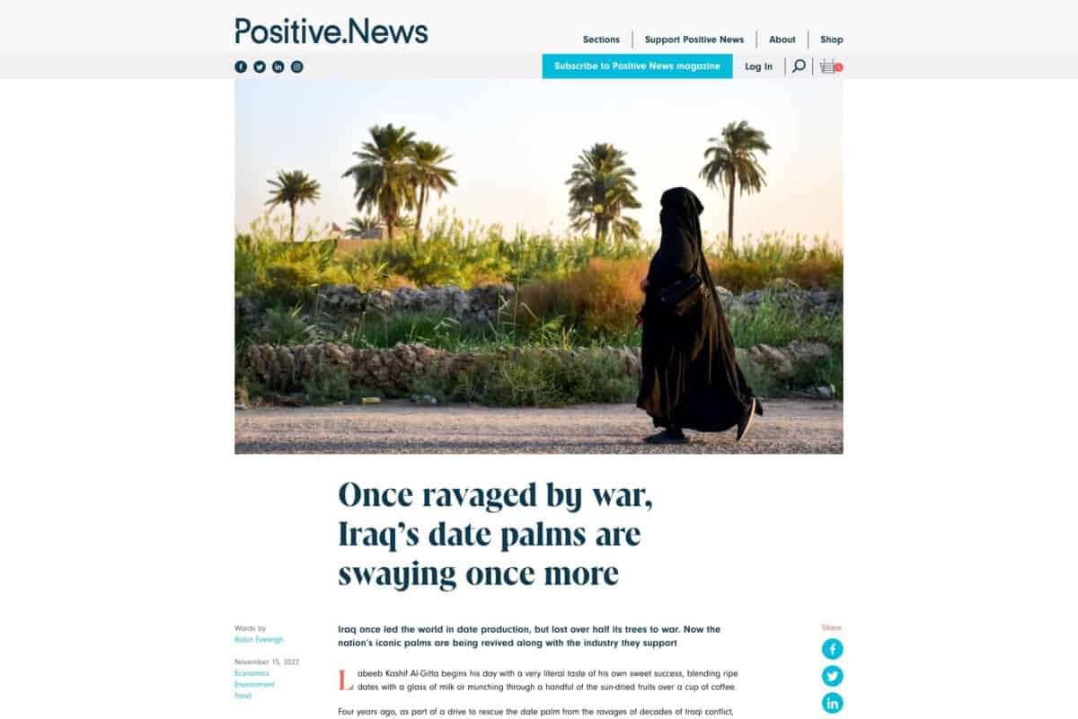 Screenshot of the Positive News WordPress and WooCommerce site showing an article about date palms in Iraq