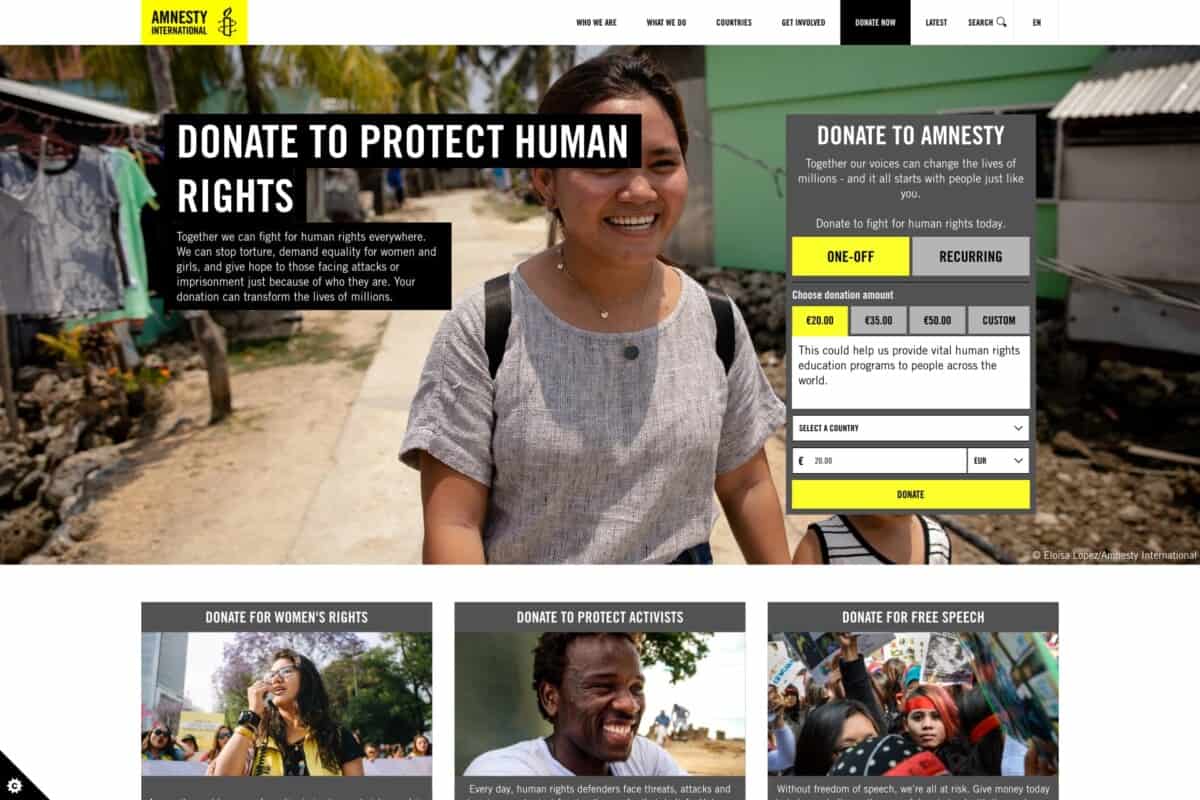 Screenshot of the Amnesty charity donation page