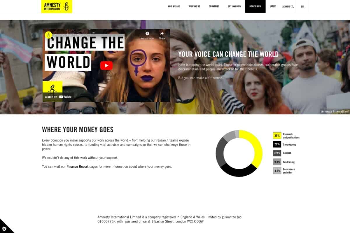 Screenshot of the Amnesty charity donation page