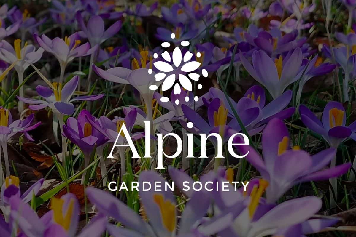 Alpine Garden Society logo in front of image of flowers